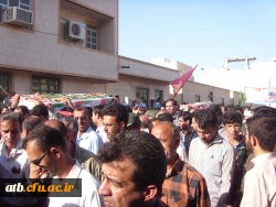 تششیع جنازه شهدای گمنان