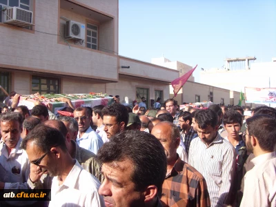 بدرقه شهدای گمنام استان بوشهر