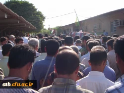 تششیع جنازه شهدای گمنام 2