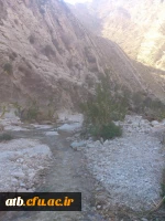 سفر دانشجومعلمان رشته دبیری ریاضی به منطقه گردشگری خاییز استان بوشهر  2