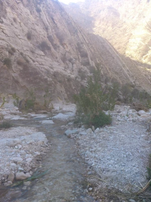 سفر دانشجومعلمان رشته دبیری ریاضی به منطقه گردشگری خاییز استان بوشهر  2