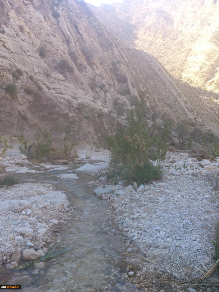 سفر دانشجومعلمان رشته دبیری ریاضی به منطقه گردشگری خاییز استان بوشهر  2