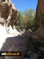 سفر دانشجومعلمان رشته دبیری ریاضی به منطقه گردشگری خاییز استان بوشهر  3