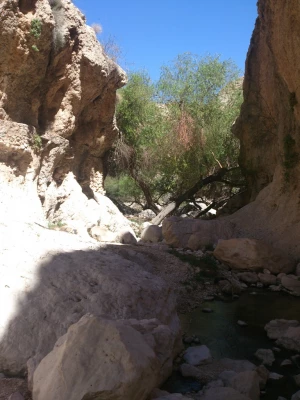 سفر دانشجومعلمان رشته دبیری ریاضی به منطقه گردشگری خاییز استان بوشهر  3