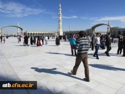 المپیاد ورزشی کارکنان دانشگاه فرهنگیان استان بوشهر به روایت تصویر 13