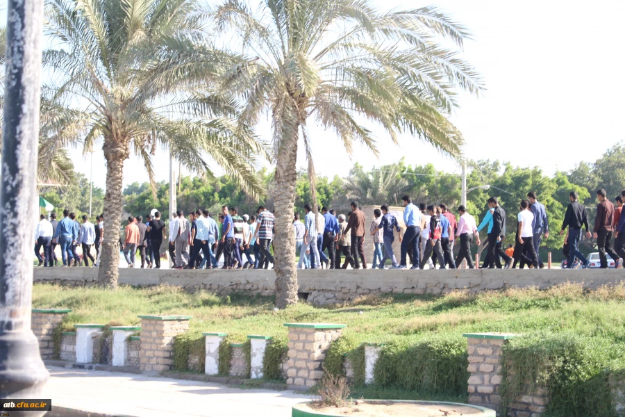 همایش پیاده روی دانشجویان دانشگاه فرهنگیان بوشهر به مناسبت هفته تربیت بدنی 3
