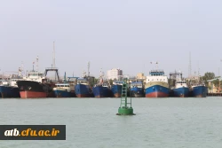 برگزاری اردوی فرهنگی تفریحی ویژه دانشجو معلمان فعال عضو کانون زبان پردیس علامه طباطبایی دانشگاه فرهنگیان بوشهر     4