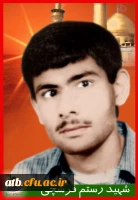 تصاویر شهدای پردیس علامه طباطبایی بوشهر 2