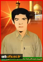 تصاویر شهدای پردیس علامه طباطبایی بوشهر 3