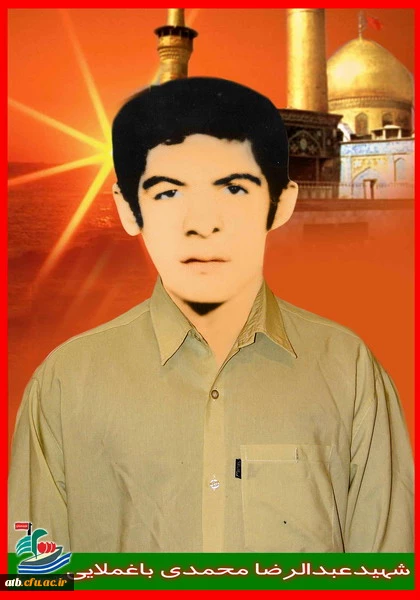 تصاویر شهدای پردیس علامه طباطبایی بوشهر 3