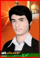 تصاویر شهدای پردیس علامه طباطبایی بوشهر 5